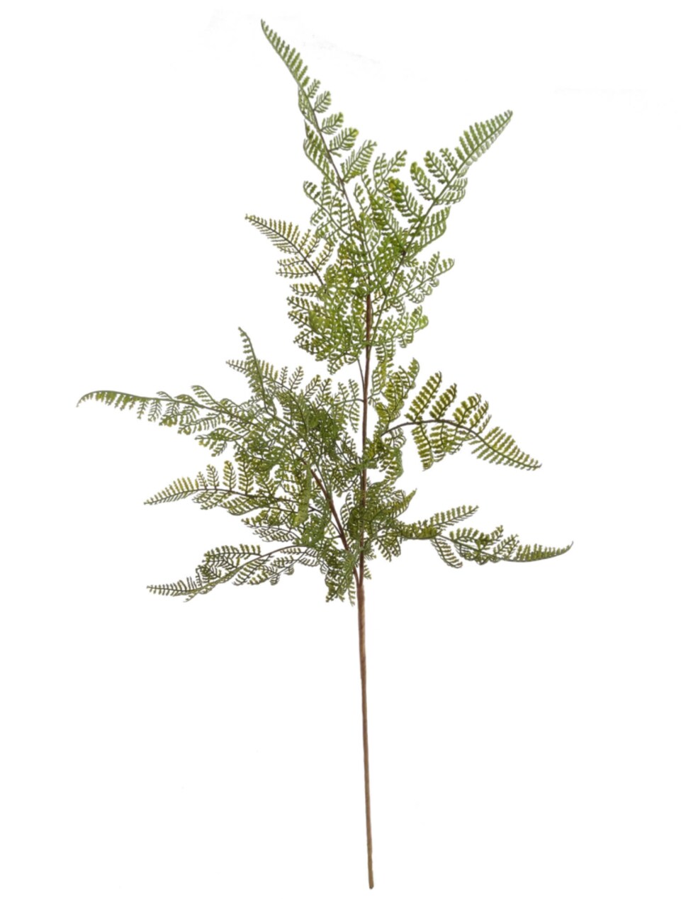 32" Leather Leaf Spray - 24-Pack, 2 Branches Per Spray, Realistic Foliage, Ideal for Floral Arrangements & Event Décor - Perfect for All Seasons, Floral Home by Artificial Flowers